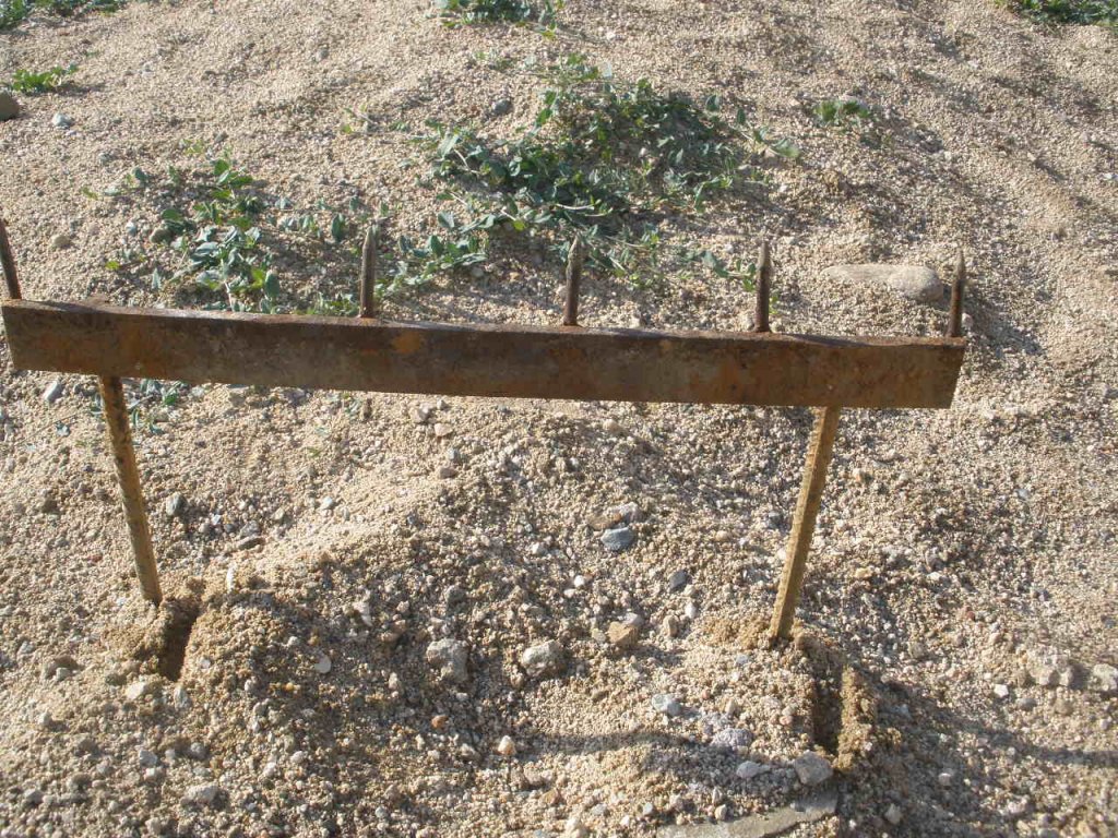 Натиснете снимката за да я уголемите

Име:P5110002.jpg
Прегледи:1
Размер:319.1 КБ
ID:5372506