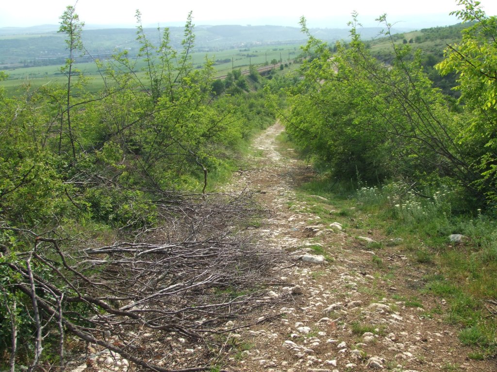 Натиснете снимката за да я уголемите

Име:DSCF2772.jpg
Прегледи:1
Размер:282.9 КБ
ID:5374317