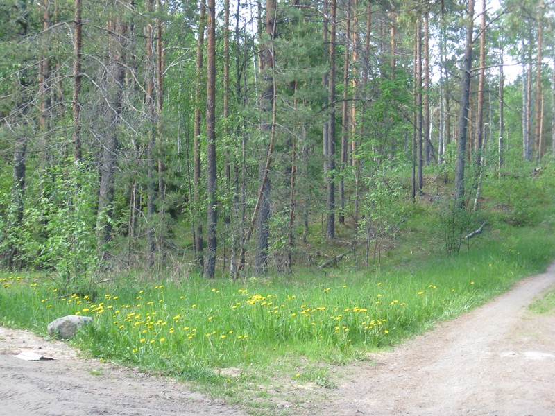 Натиснете снимката за да я уголемите

Име:128.JPG
Прегледи:1
Размер:205.5 КБ
ID:5377928