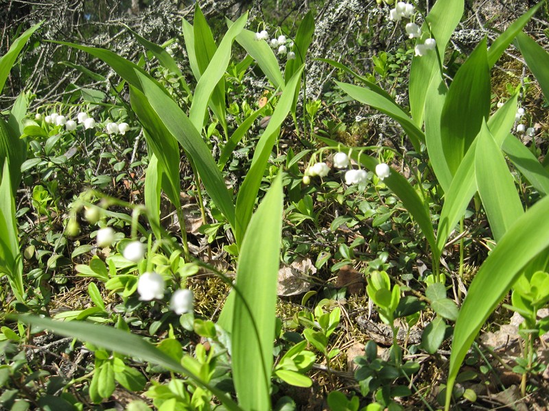 Натиснете снимката за да я уголемите

Име:129.JPG
Прегледи:1
Размер:230.0 КБ
ID:5377929