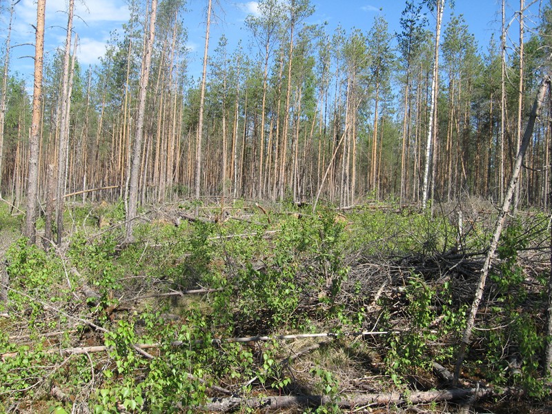 Натиснете снимката за да я уголемите

Име:130.JPG
Прегледи:1
Размер:275.6 КБ
ID:5377930