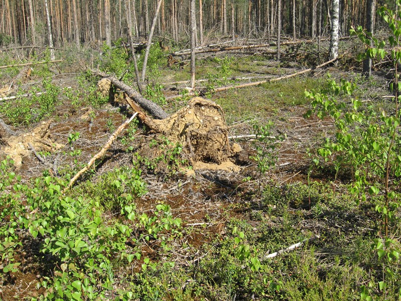 Натиснете снимката за да я уголемите

Име:132.JPG
Прегледи:1
Размер:302.3 КБ
ID:5377932
