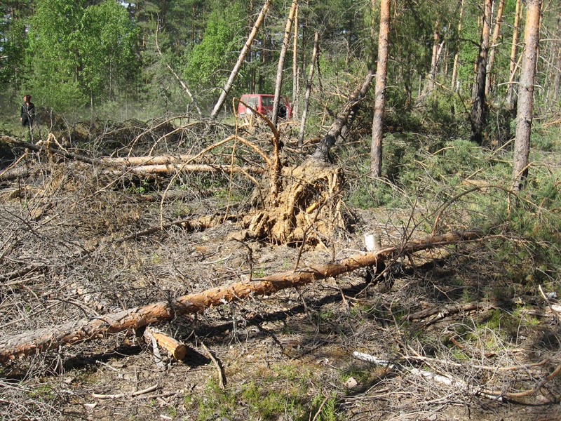 Натиснете снимката за да я уголемите

Име:133.JPG
Прегледи:1
Размер:291.8 КБ
ID:5377933