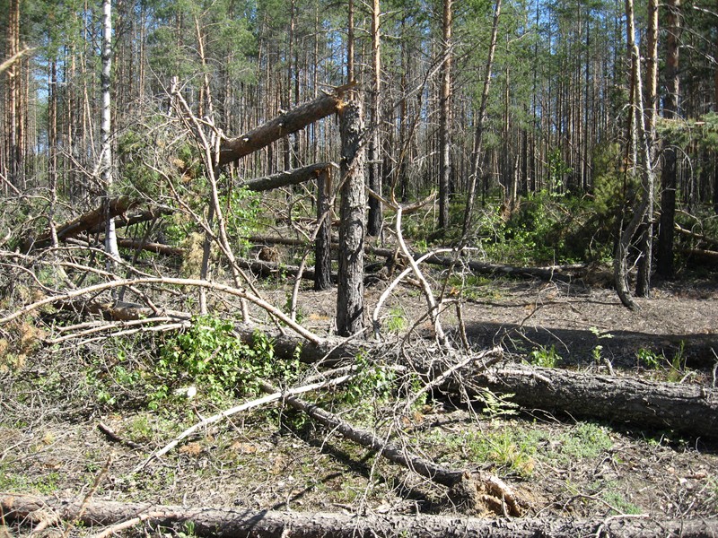 Натиснете снимката за да я уголемите

Име:134.JPG
Прегледи:1
Размер:294.4 КБ
ID:5377934