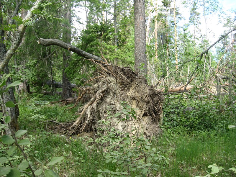 Натиснете снимката за да я уголемите

Име:135.JPG
Прегледи:1
Размер:252.9 КБ
ID:5377935