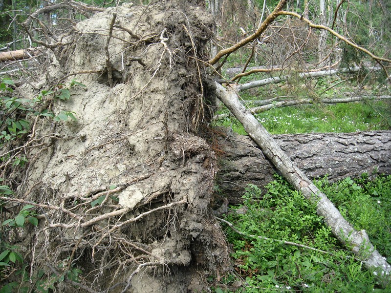 Натиснете снимката за да я уголемите

Име:136.JPG
Прегледи:1
Размер:268.1 КБ
ID:5377936