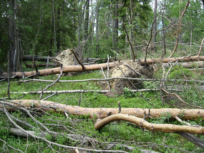 Натиснете снимката за да я уголемите

Име:137.JPG
Прегледи:1
Размер:261.2 КБ
ID:5377937
