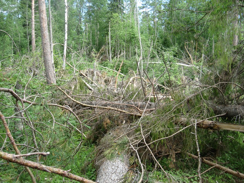 Натиснете снимката за да я уголемите

Име:138.JPG
Прегледи:1
Размер:261.9 КБ
ID:5377938
