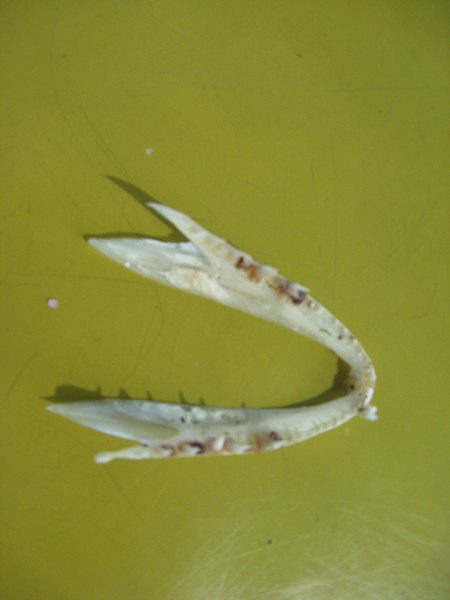 Натиснете снимката за да я уголемите

Име:170.JPG
Прегледи:1
Размер:30.6 КБ
ID:5377950