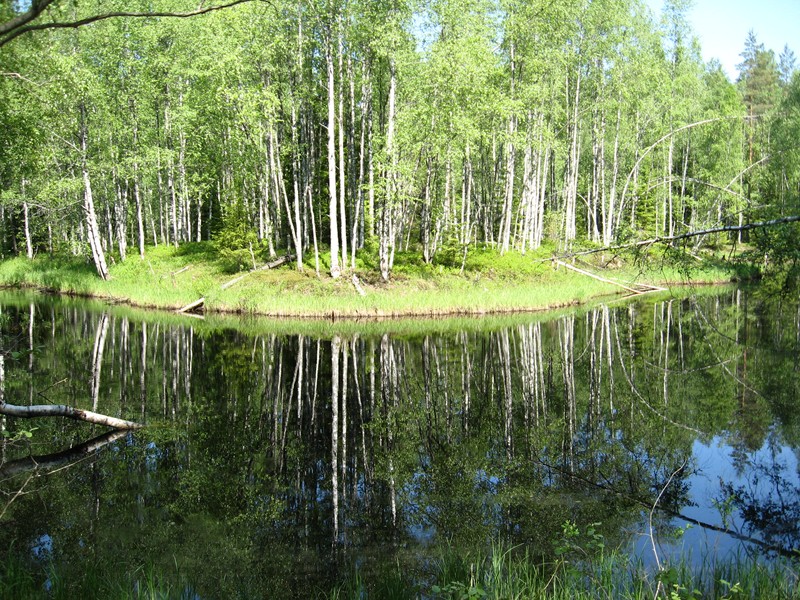 Натиснете снимката за да я уголемите

Име:300.JPG
Прегледи:1
Размер:253.6 КБ
ID:5378005