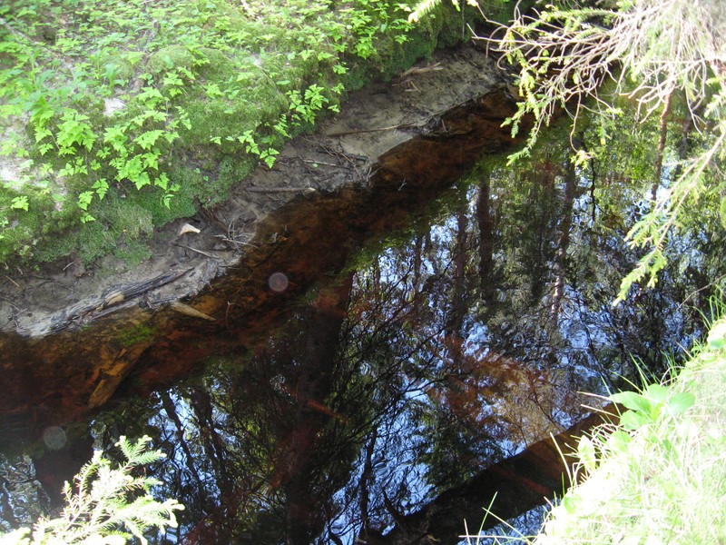 Натиснете снимката за да я уголемите

Име:254.JPG
Прегледи:1
Размер:230.5 КБ
ID:5378006