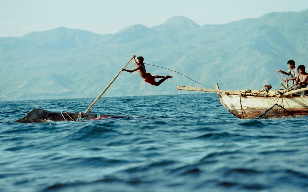 Натиснете снимката за да я уголемите

Име:Whale hunters of Lamalera 1.jpg
Прегледи:1
Размер:99.7 КБ
ID:5378122