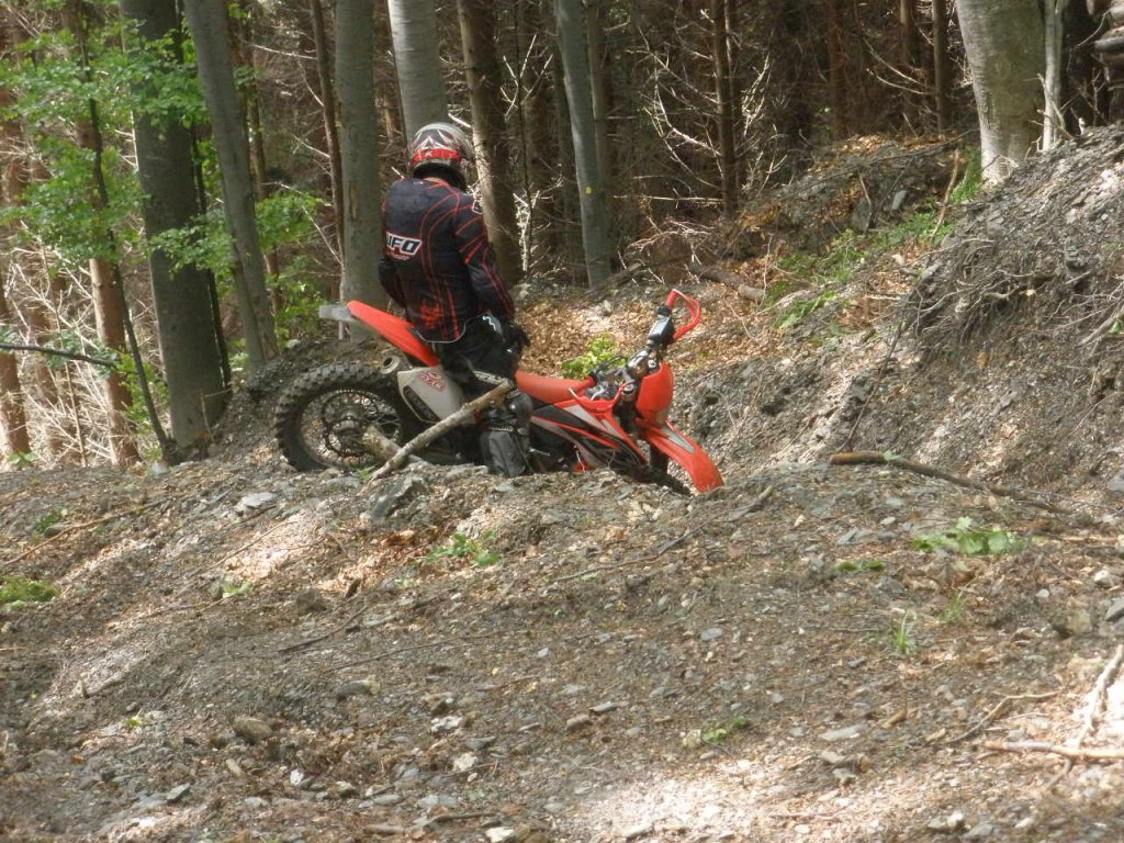 Натиснете снимката за да я уголемите

Име:P5260015.jpg
Прегледи:1
Размер:252.3 КБ
ID:5378154