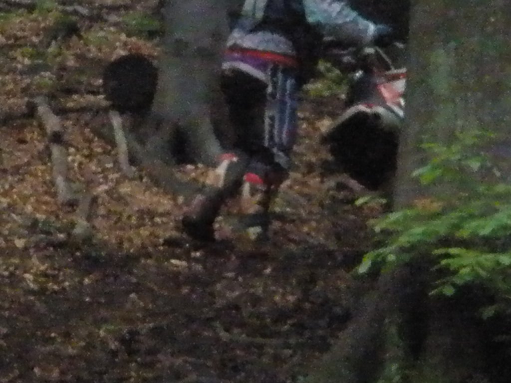 Натиснете снимката за да я уголемите

Име:P5260049.jpg
Прегледи:1
Размер:114.8 КБ
ID:5378190