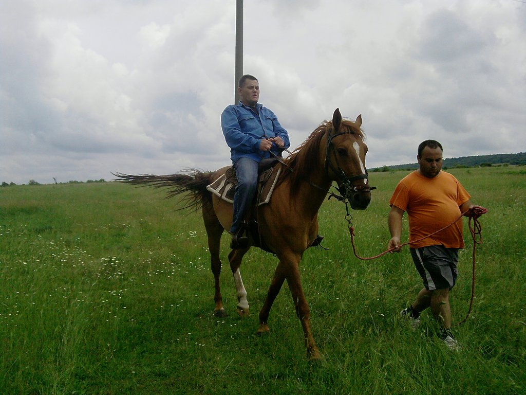 Натиснете снимката за да я уголемите

Име:P240512_14.00_[06].jpg
Прегледи:1
Размер:150.2 КБ
ID:5378807