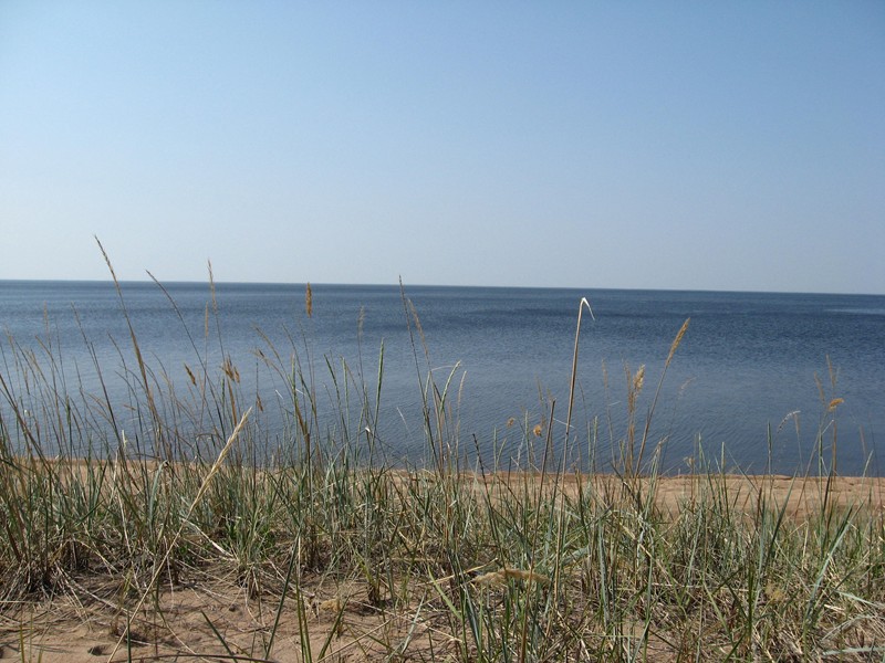 Натиснете снимката за да я уголемите

Име:323.JPG
Прегледи:1
Размер:135.9 КБ
ID:5379271