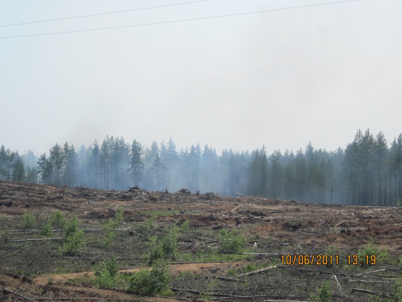 Натиснете снимката за да я уголемите

Име:IMG_1557 (Копировать).JPG
Прегледи:1
Размер:99.7 КБ
ID:5379283