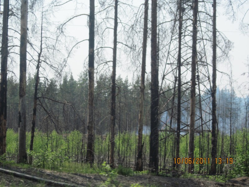 Натиснете снимката за да я уголемите

Име:IMG_1559 (Копировать).JPG
Прегледи:1
Размер:158.6 КБ
ID:5379284