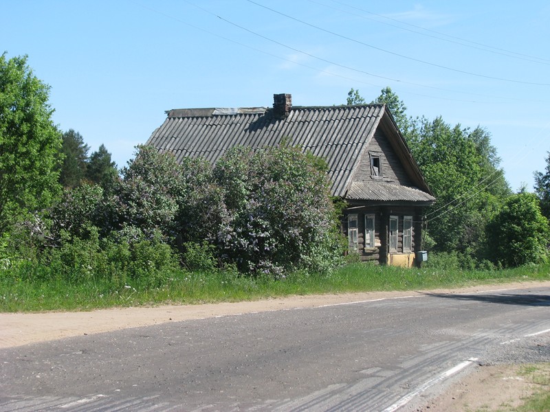 Натиснете снимката за да я уголемите

Име:IMG_2975 (Копировать).jpg
Прегледи:1
Размер:171.7 КБ
ID:5379291