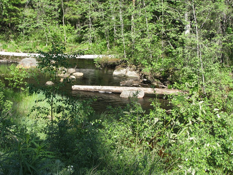 Натиснете снимката за да я уголемите

Име:IMG_2864 (Копировать).jpg
Прегледи:1
Размер:295.1 КБ
ID:5379310