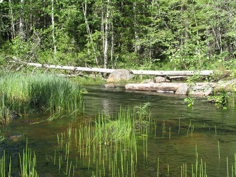 Натиснете снимката за да я уголемите

Име:IMG_2867 (Копировать).jpg
Прегледи:1
Размер:259.5 КБ
ID:5379311