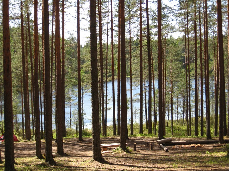 Натиснете снимката за да я уголемите

Име:362.JPG
Прегледи:1
Размер:237.6 КБ
ID:5379325