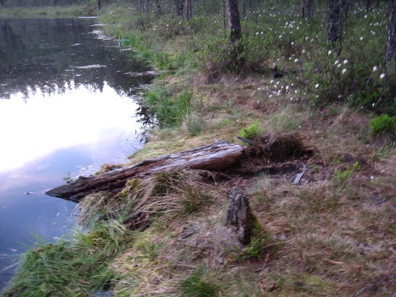 Натиснете снимката за да я уголемите

Име:341.JPG
Прегледи:1
Размер:163.4 КБ
ID:5379329