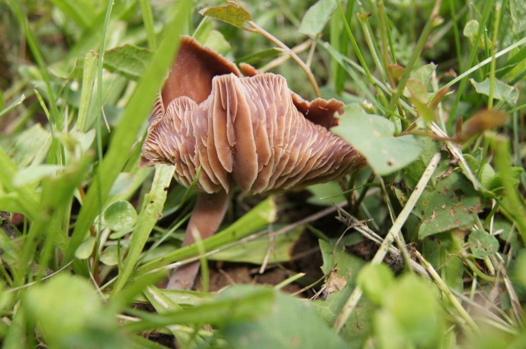 Натиснете снимката за да я уголемите

Име:DSC01657.jpg
Прегледи:2
Размер:124.9 КБ
ID:5382401