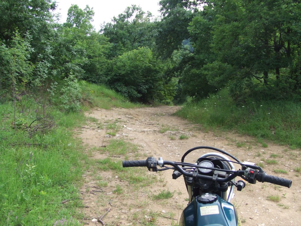 Натиснете снимката за да я уголемите

Име:DSCF2860.jpg
Прегледи:1
Размер:236.2 КБ
ID:5379753