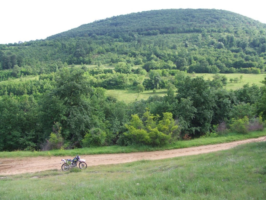 Натиснете снимката за да я уголемите

Име:DSCF2870.jpg
Прегледи:1
Размер:203.8 КБ
ID:5379756