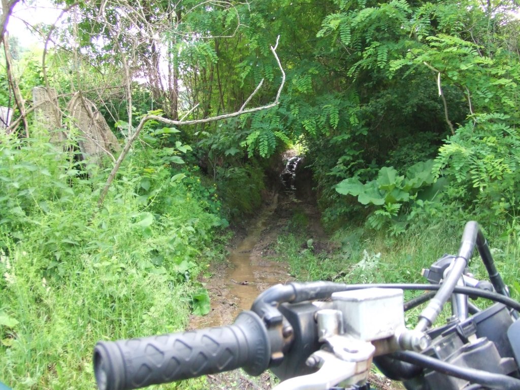 Натиснете снимката за да я уголемите

Име:DSCF2862.jpg
Прегледи:1
Размер:234.4 КБ
ID:5379758