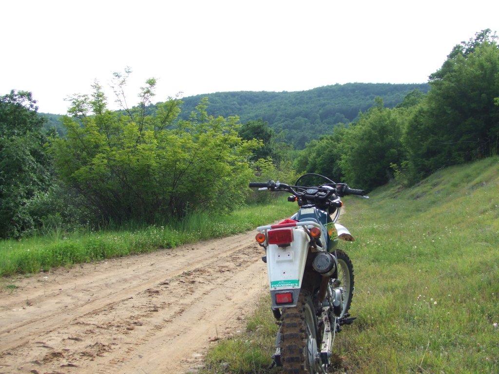 Натиснете снимката за да я уголемите

Име:DSCF2865.jpg
Прегледи:1
Размер:172.8 КБ
ID:5379762