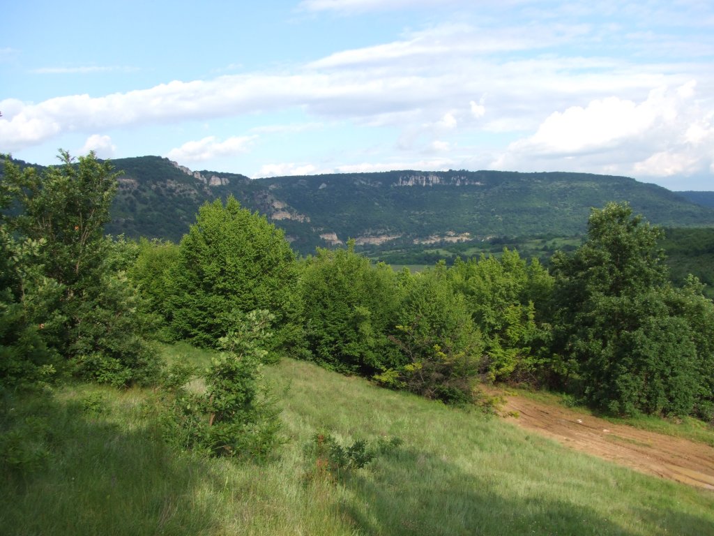 Натиснете снимката за да я уголемите

Име:DSCF2869.jpg
Прегледи:1
Размер:167.3 КБ
ID:5379767