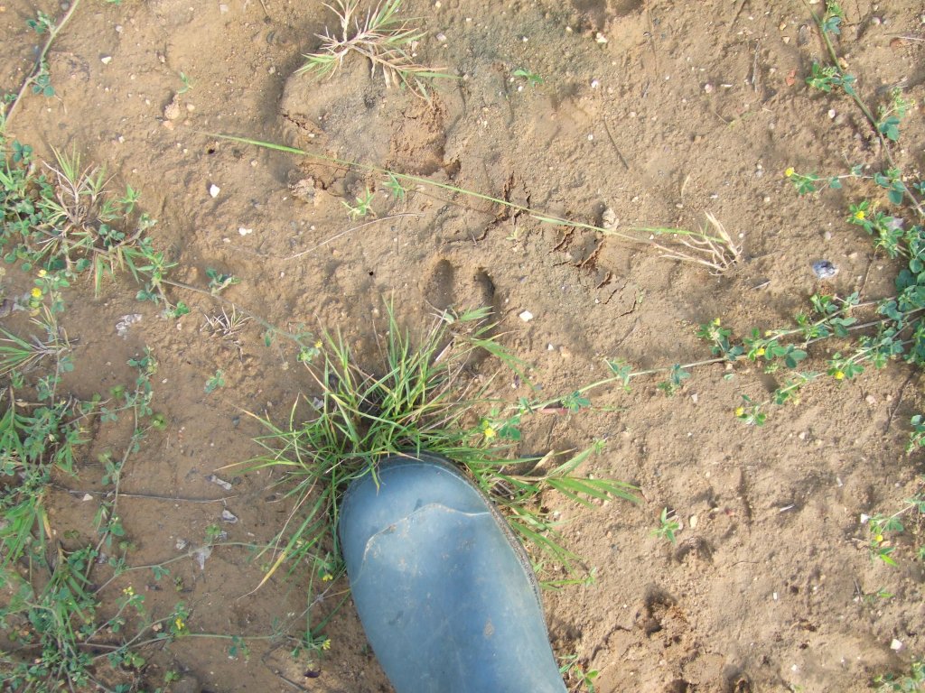 Натиснете снимката за да я уголемите

Име:DSCF2874.jpg
Прегледи:1
Размер:249.0 КБ
ID:5379770