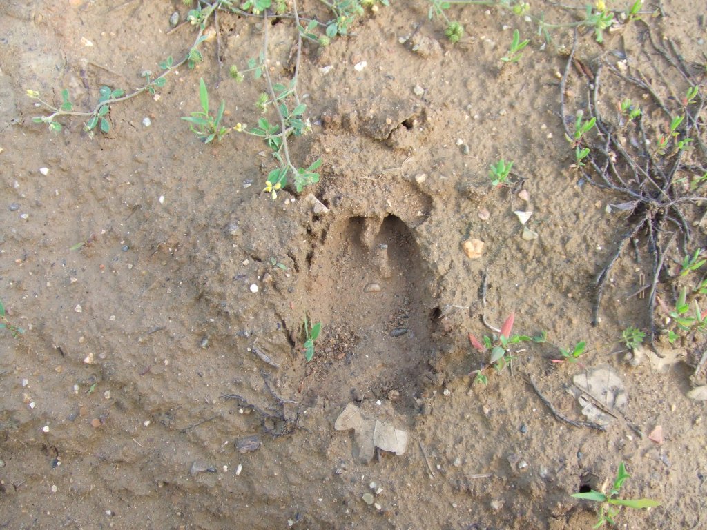 Натиснете снимката за да я уголемите

Име:DSCF2872.jpg
Прегледи:1
Размер:221.1 КБ
ID:5379771