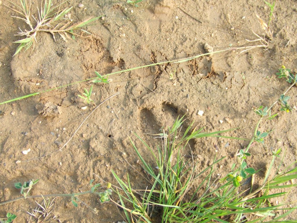 Натиснете снимката за да я уголемите

Име:DSCF2873.jpg
Прегледи:1
Размер:264.3 КБ
ID:5379772