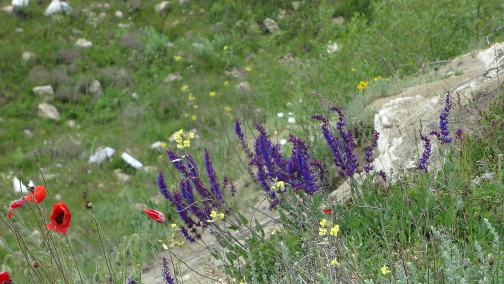 Натиснете снимката за да я уголемите

Име:DSC00271.jpg
Прегледи:1
Размер:148.3 КБ
ID:5379862