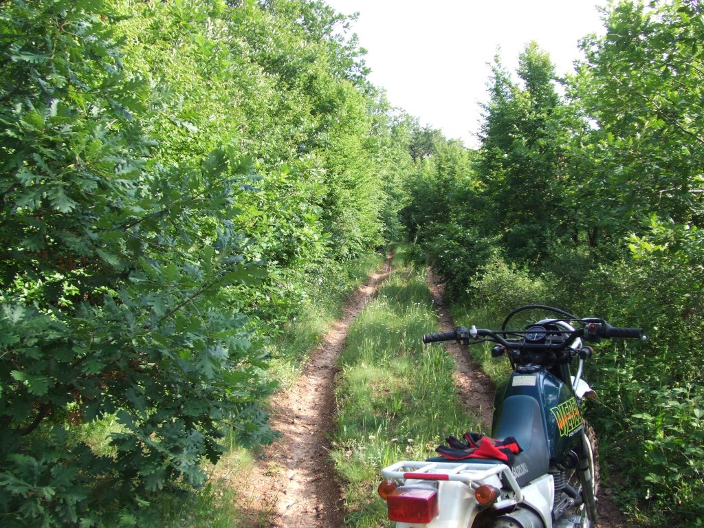 Натиснете снимката за да я уголемите

Име:DSCF2878.jpg
Прегледи:1
Размер:288.0 КБ
ID:5380002