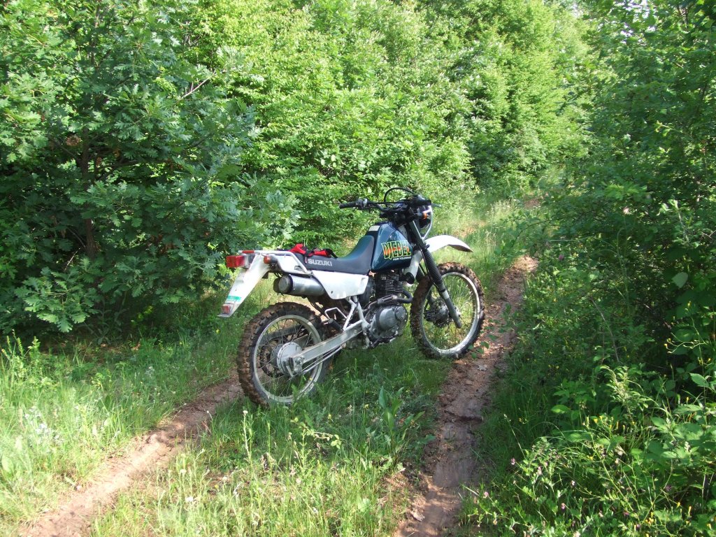 Натиснете снимката за да я уголемите

Име:DSCF2877.jpg
Прегледи:1
Размер:311.8 КБ
ID:5380003