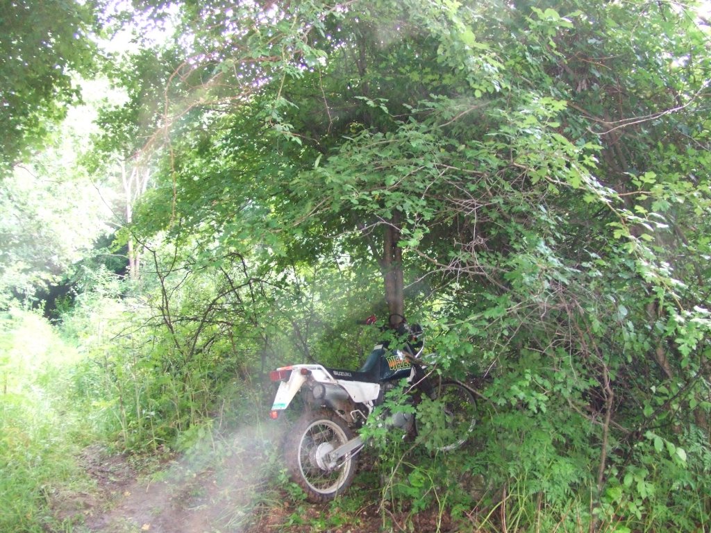 Натиснете снимката за да я уголемите

Име:DSCF2879.jpg
Прегледи:1
Размер:260.3 КБ
ID:5380004