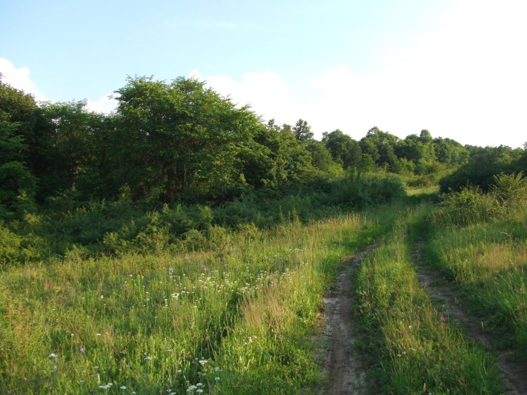 Натиснете снимката за да я уголемите

Име:DSCF2890.jpg
Прегледи:1
Размер:173.3 КБ
ID:5380006