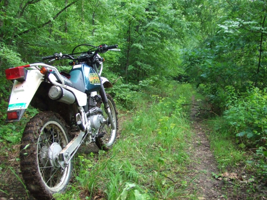 Натиснете снимката за да я уголемите

Име:DSCF2881.jpg
Прегледи:1
Размер:244.5 КБ
ID:5380007