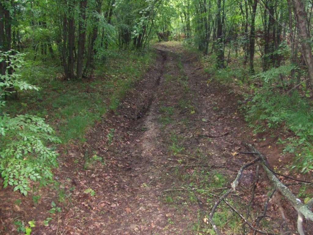 Натиснете снимката за да я уголемите

Име:DSCF2882.jpg
Прегледи:1
Размер:234.0 КБ
ID:5380008