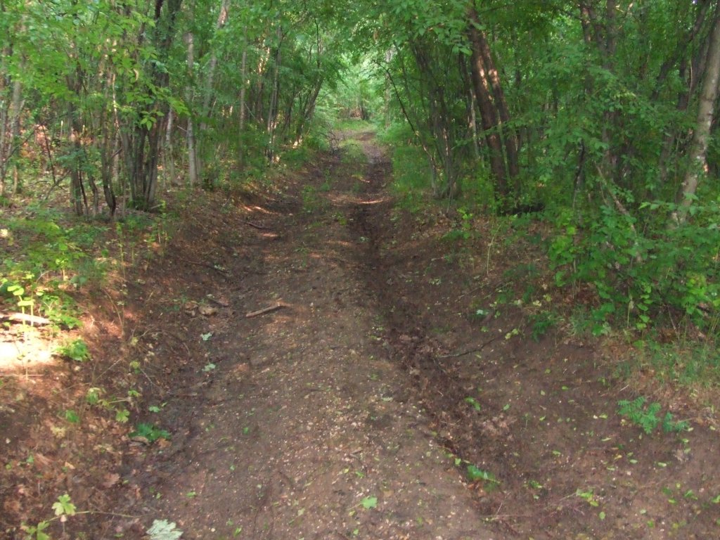 Натиснете снимката за да я уголемите

Име:DSCF2884.jpg
Прегледи:1
Размер:203.3 КБ
ID:5380009