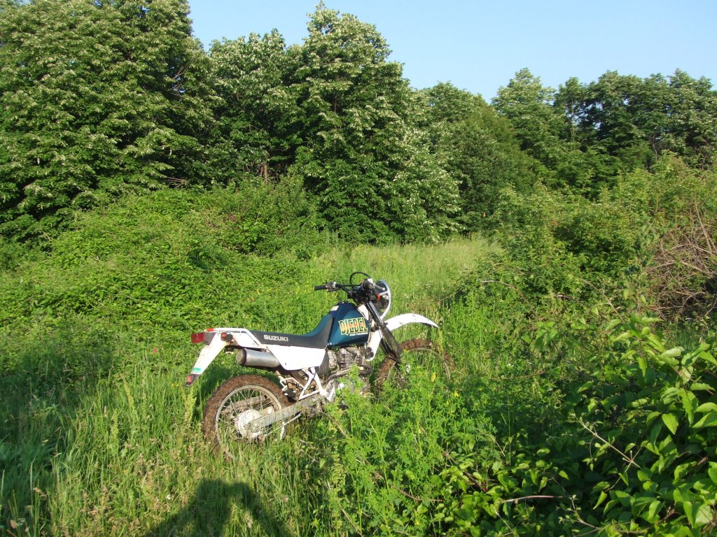 Натиснете снимката за да я уголемите

Име:DSCF2888.jpg
Прегледи:1
Размер:306.8 КБ
ID:5380012