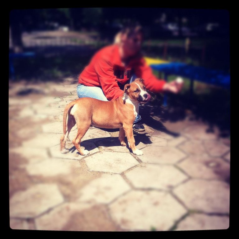 Натиснете снимката за да я уголемите

Име:484200_3693287003669_1020107850_3214857_1229770173_n.jpg
Прегледи:1
Размер:64.5 КБ
ID:5380259