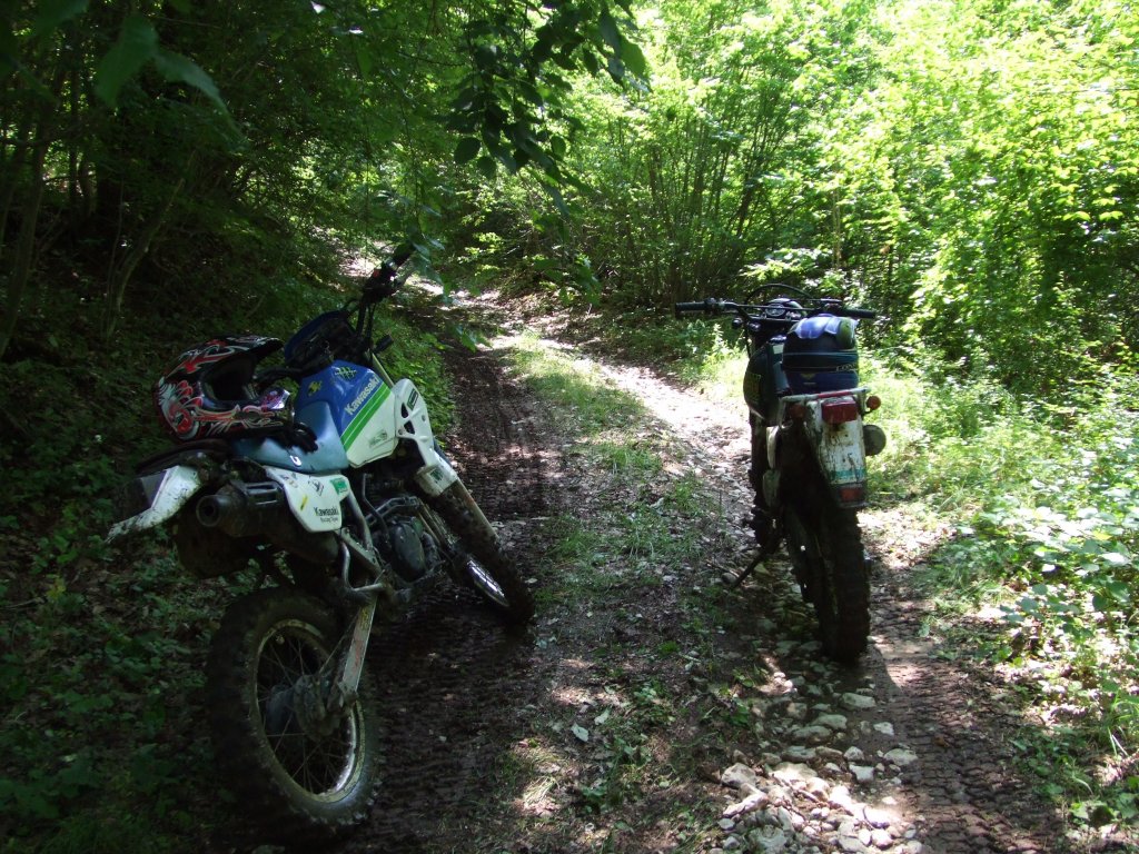 Натиснете снимката за да я уголемите

Име:DSCF2908.jpg
Прегледи:1
Размер:266.2 КБ
ID:5380383