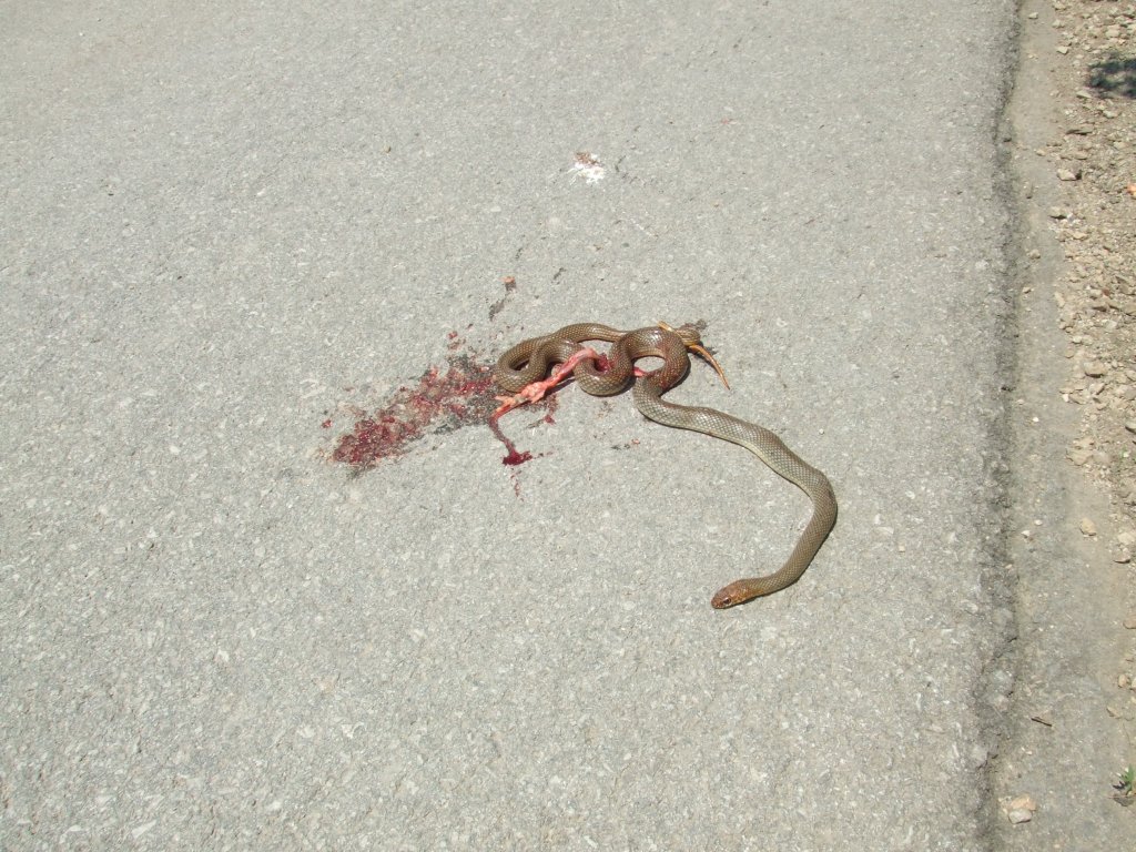 Натиснете снимката за да я уголемите

Име:DSCF2912.jpg
Прегледи:1
Размер:204.1 КБ
ID:5380387