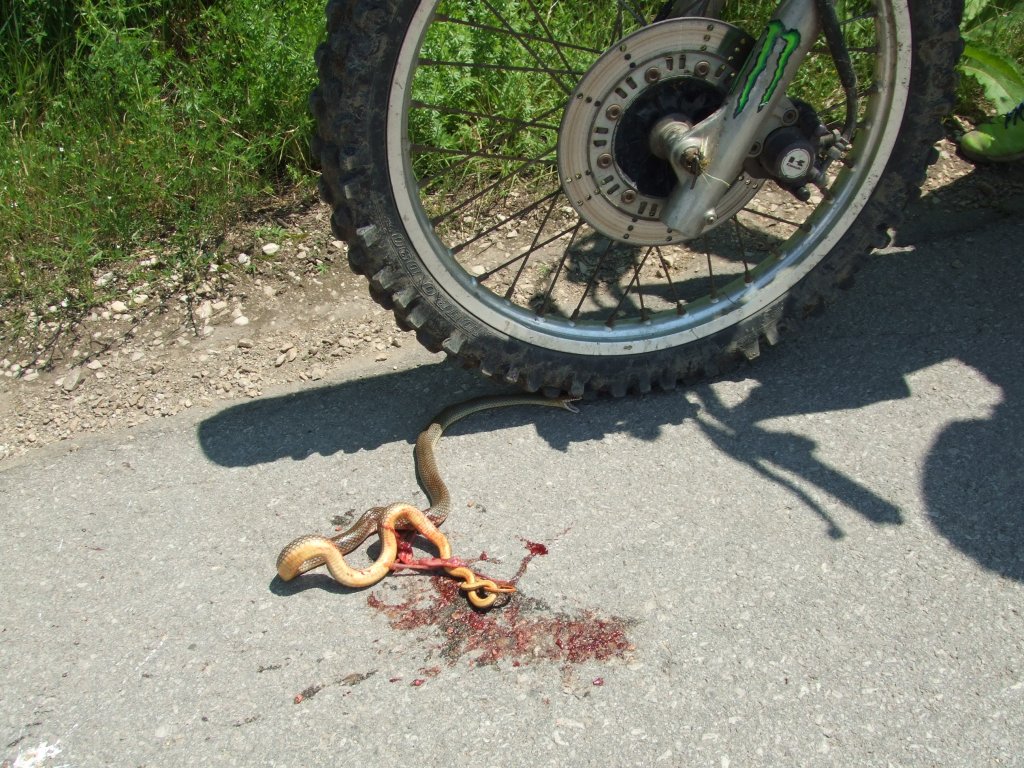 Натиснете снимката за да я уголемите

Име:DSCF2913.jpg
Прегледи:1
Размер:239.6 КБ
ID:5380388