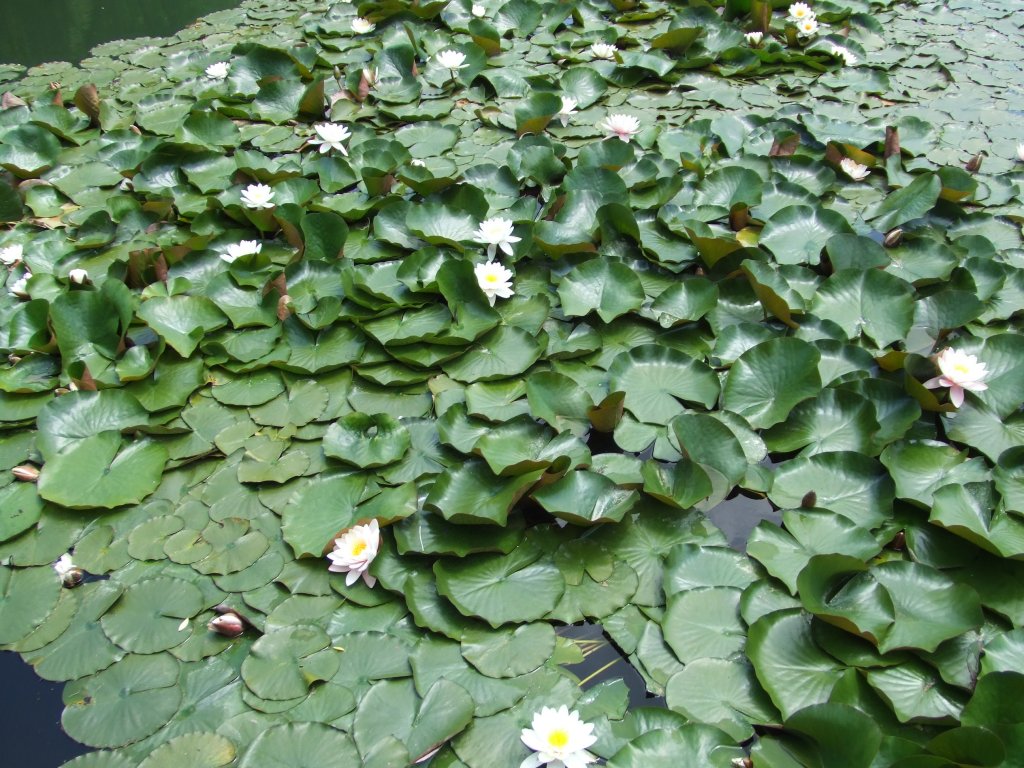 Натиснете снимката за да я уголемите

Име:DSCF2924.jpg
Прегледи:1
Размер:205.3 КБ
ID:5380399